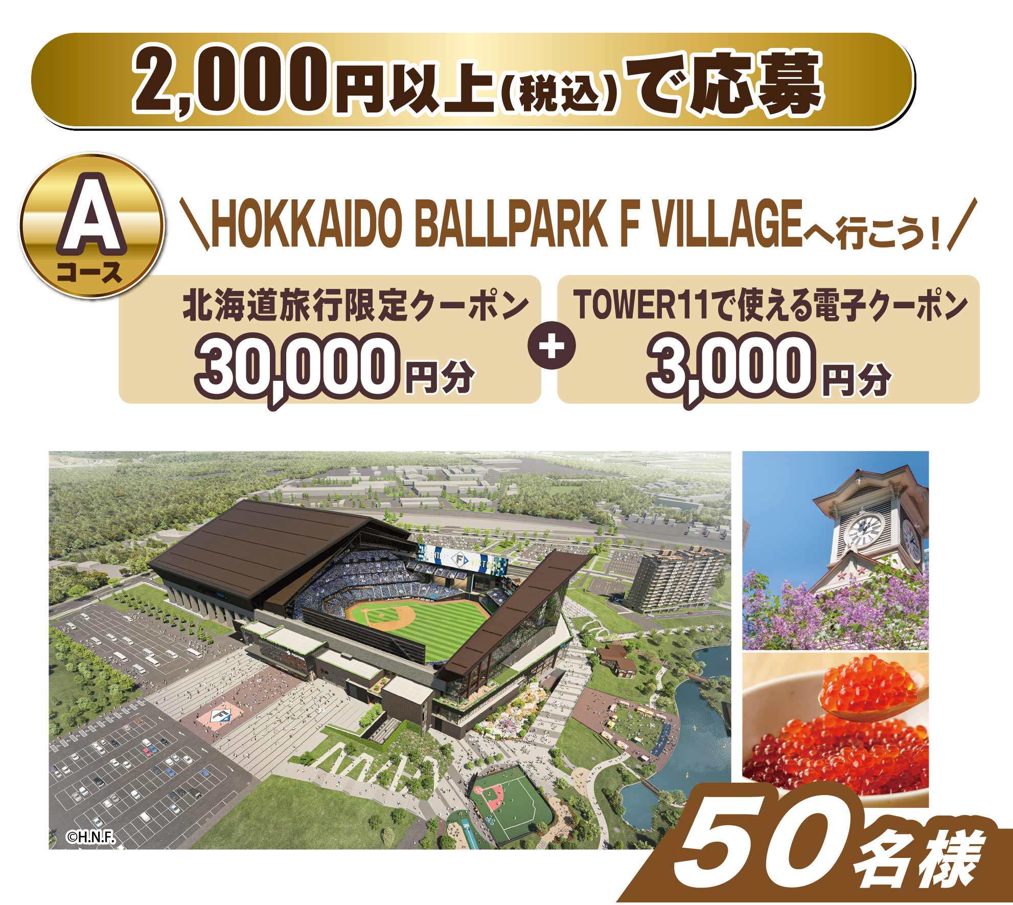 Aコース 2,000円以上(税込)で応募 HOKKAIDO BALLPARK F VILLAGE へ行こう！